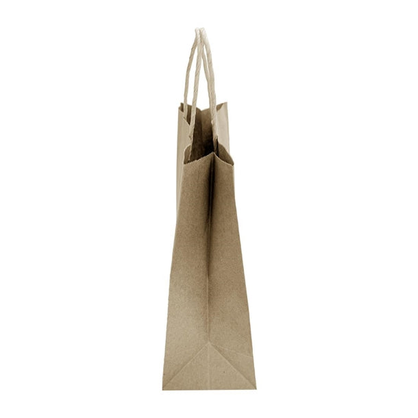 Fiesta Recyclable Twist Handle Brown Paper Bags Small (250 Pack) hy760