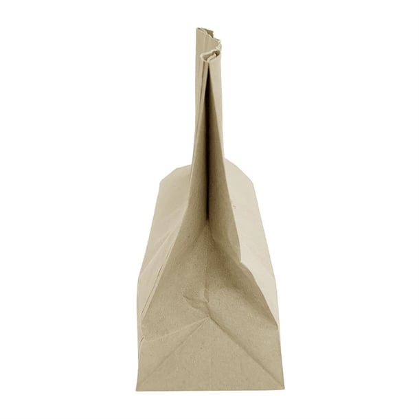 Fiesta Recyclable D Cut Handle Brown Paper Bags Medium (250 Pack) hy764