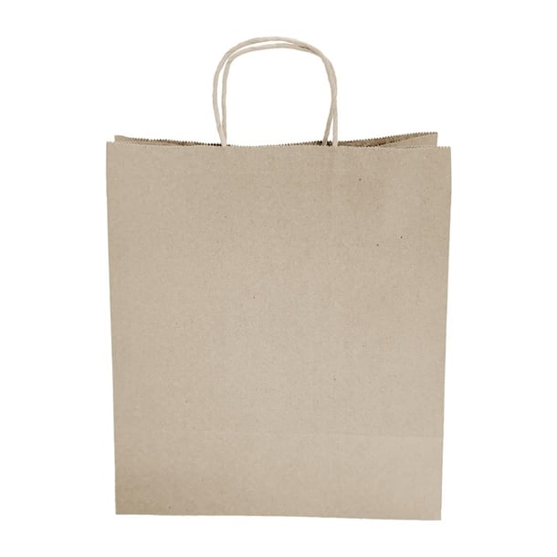 Fiesta Recyclable Twist Handle Brown Paper Bags Large (250 Pack) hy766