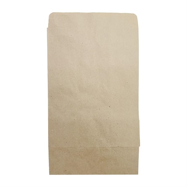 Fiesta Recyclable Sealable Takeaway Bags Medium (250 Pack) ja318