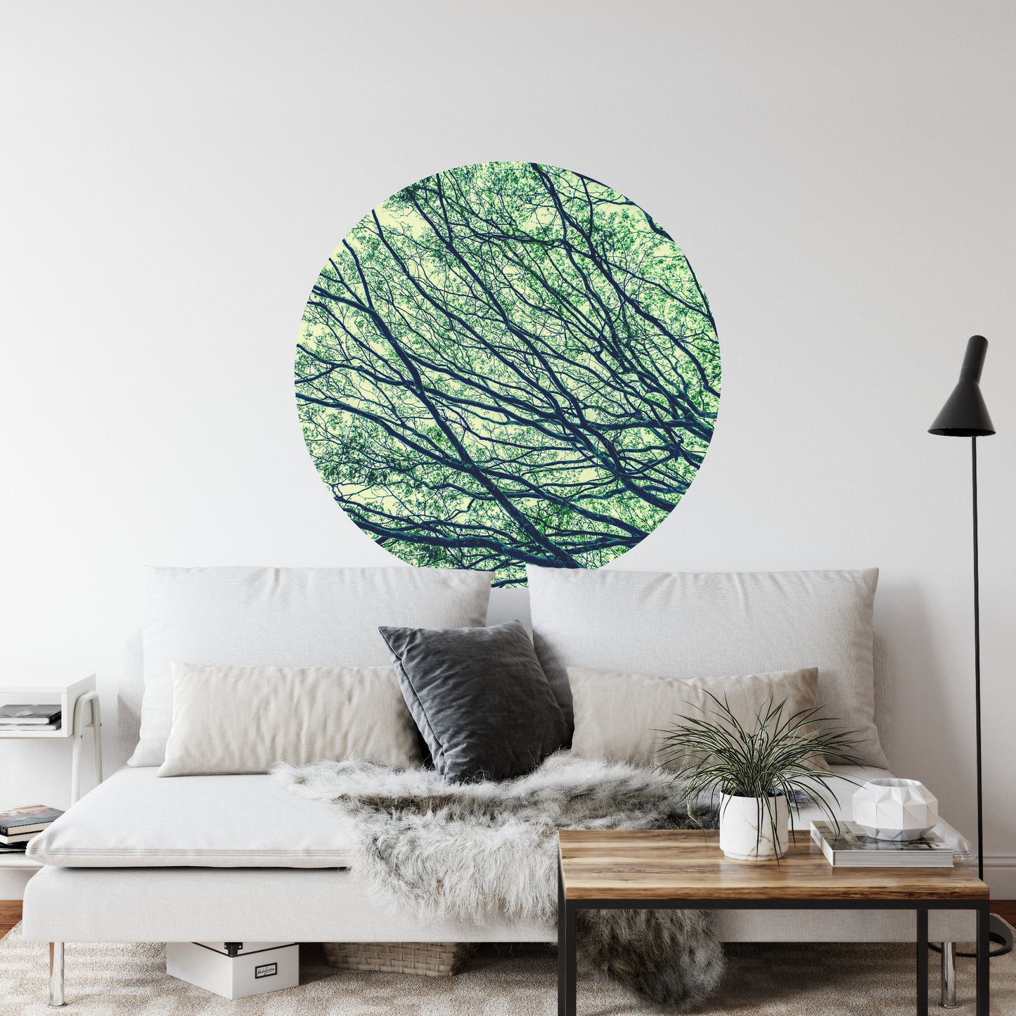 Circular Mural Canopy