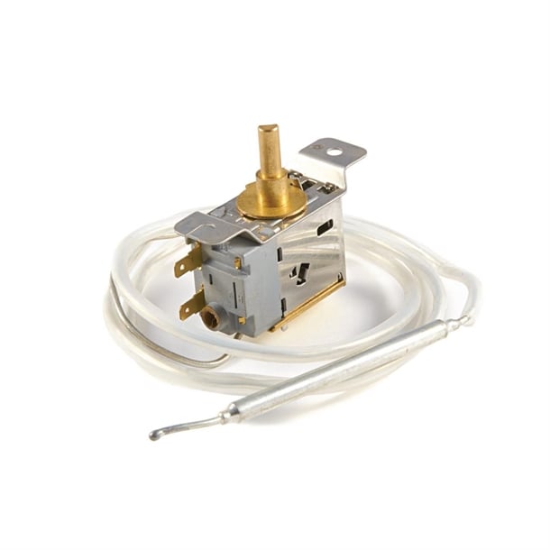 Polar Thermostat aa633