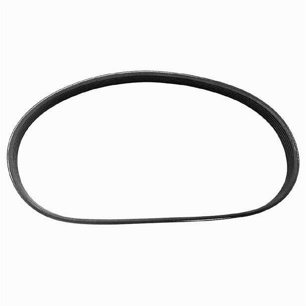 Buffalo Belt am361