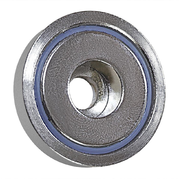 Buffalo Magnet as945