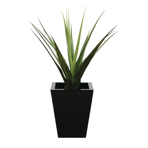 Pandanus Green 900mm cc504