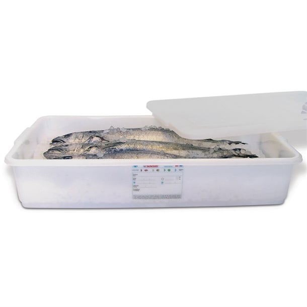 Araven Food Storage Container with Lid 40Ltr dn910