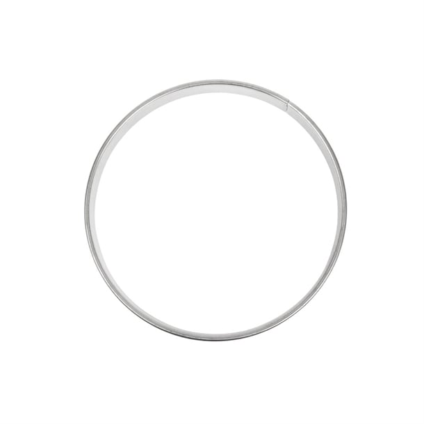 Plain Flan Ring 200mm e693