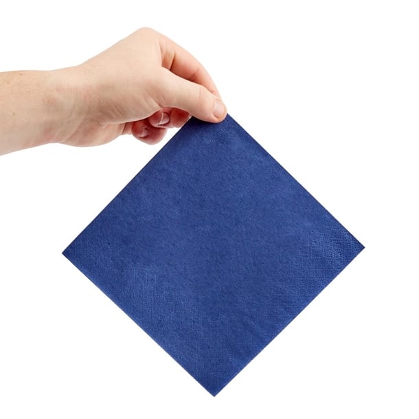 Fiesta Recyclable Lunch Napkin Blue 33x33cm 2ply 1/4 Fold (2000 Pack) fe224