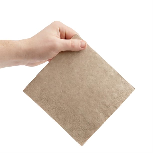 Fiesta Recyclable Recycled Lunch Napkin Kraft 33x33cm 2ply 1/4 Fold (2000 Pack) fe226
