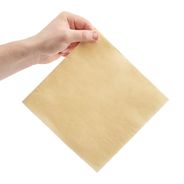 Fiesta Recyclable Dinner Napkin Cream 40x40cm 2ply 1/4 Fold (2000 Pack) fe236