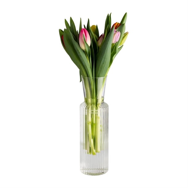 APS Lines Glass Carafe 0.9Ltr hy243