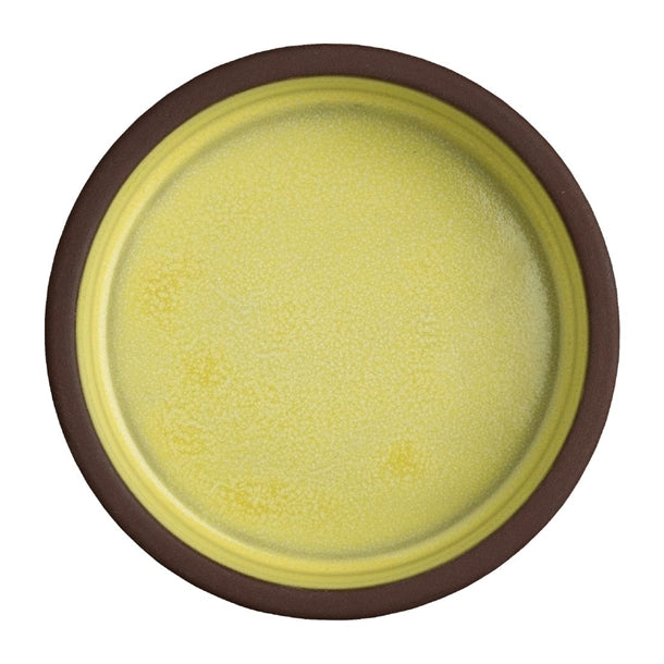 Maham Studio Spice Saffron Stacking Trays 100 x30mm (12 Pack) vv3683