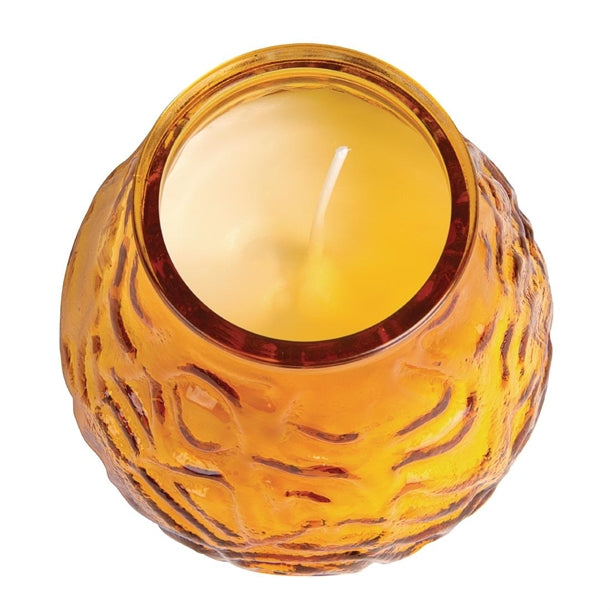 Bolsius Amber Lowboy Candles Bar Lights (12 Pack) y198