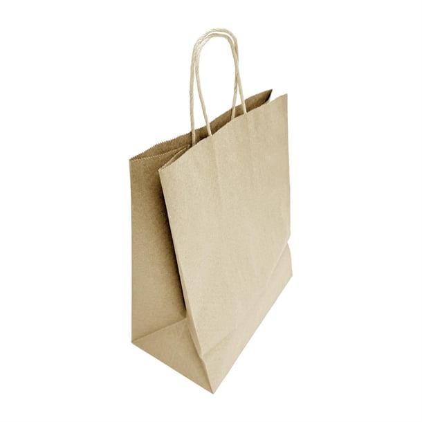 Fiesta Recyclable Twist Handle Brown Paper Bags Large (250 Pack) hy766