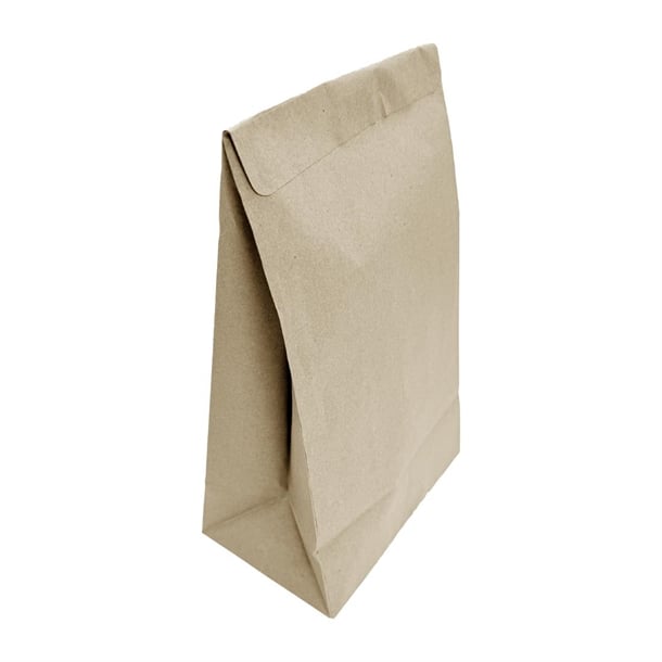 Fiesta Recyclable Sealable Takeaway Bags Medium (250 Pack) ja318