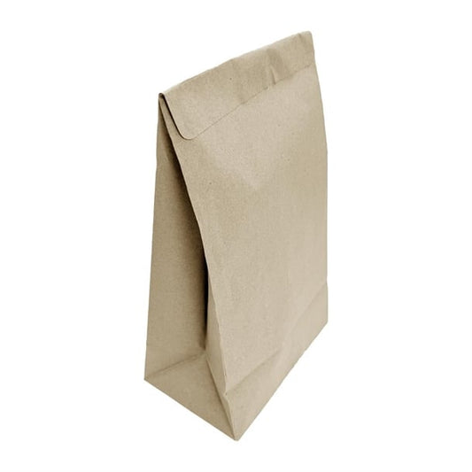 Fiesta Recyclable Sealable Takeaway Bags Medium (250 Pack) ja318
