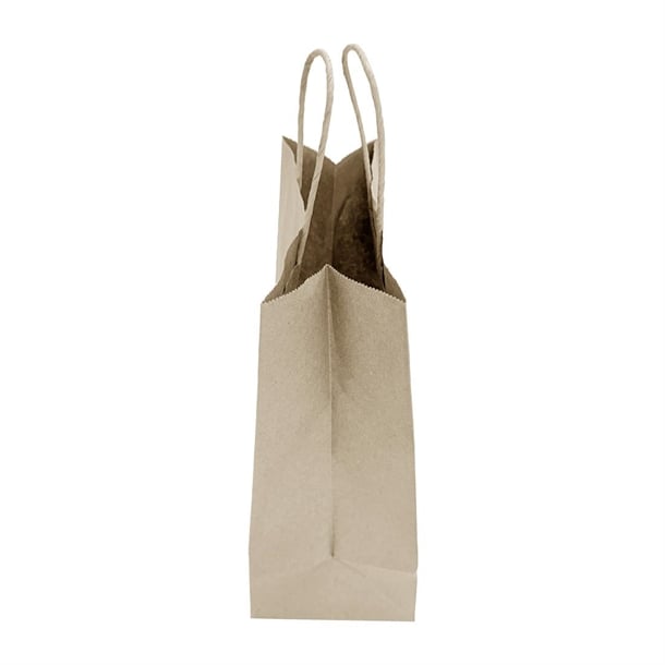 Fiesta Recyclable Twist Handle Brown Paper Bags Medium (250 Pack) hy762