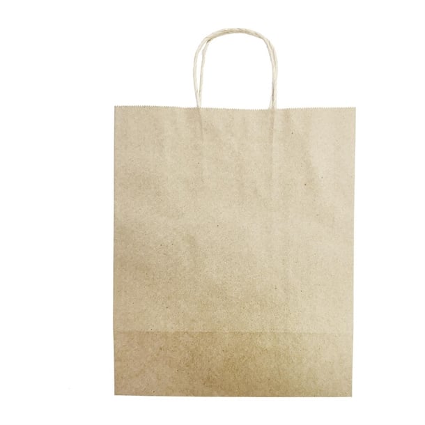 Fiesta Recyclable Twist Handle Brown Paper Bags Large (250 Pack) hy766