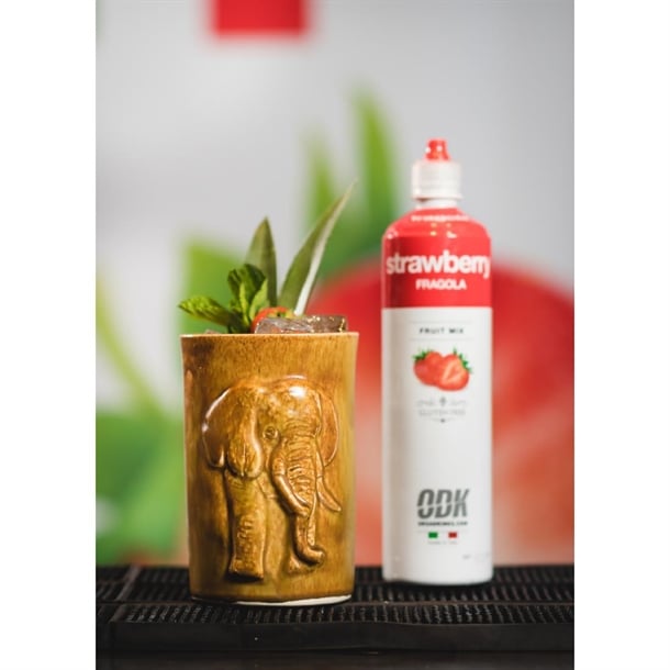 ODK Strawberry Puree dc200