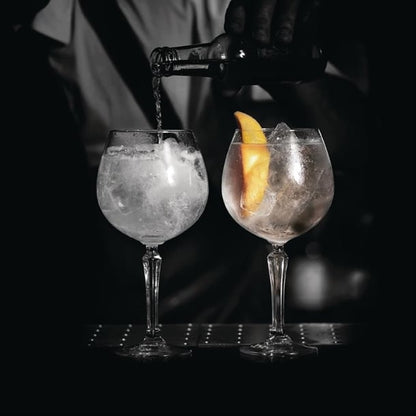 Onis Speakeasy Gin Cocktail Glasses 580ml/20.5oz (6 Pack) dx705
