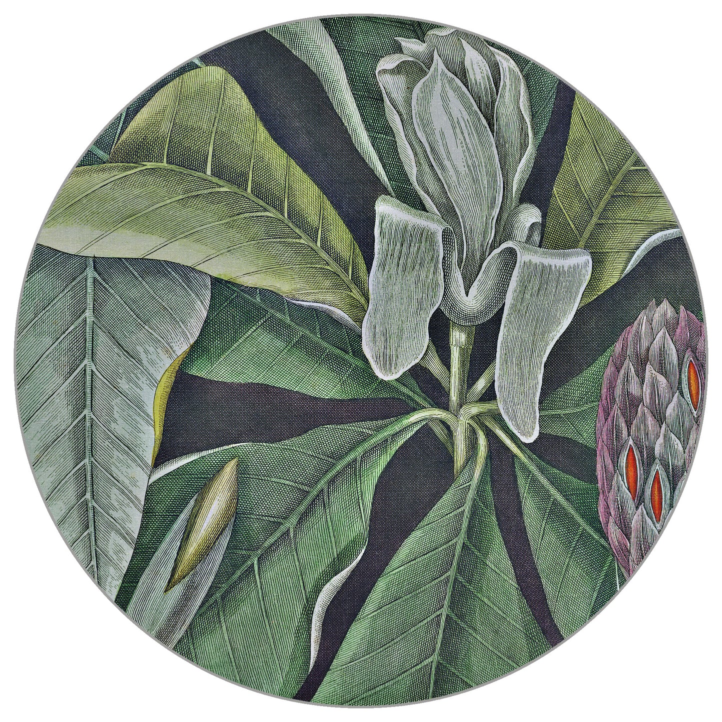 Circular Mural Vintage Botanicals Vi