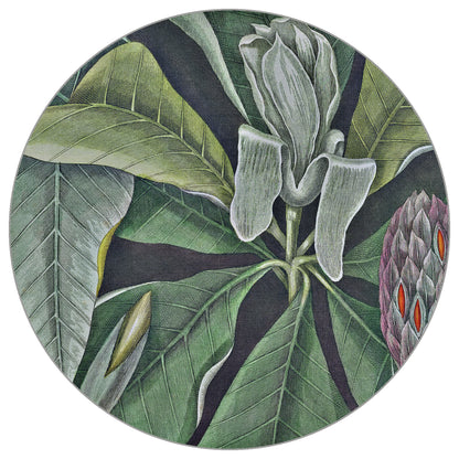 Circular Mural Vintage Botanicals Vi