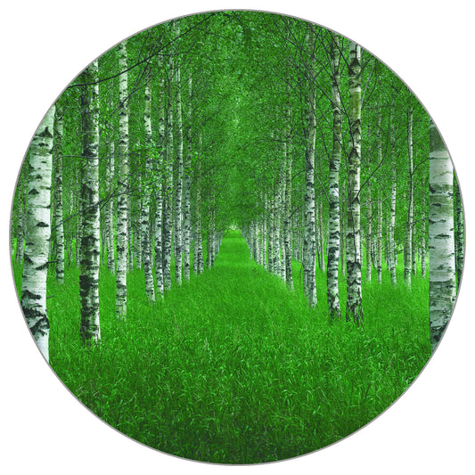 Circular Mural The Tunnel By Christian Lindsten