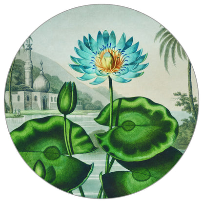 Circular Mural Lotus Azul