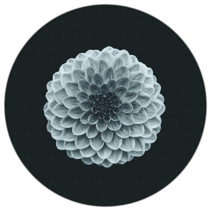 Circular Mural Symmetry