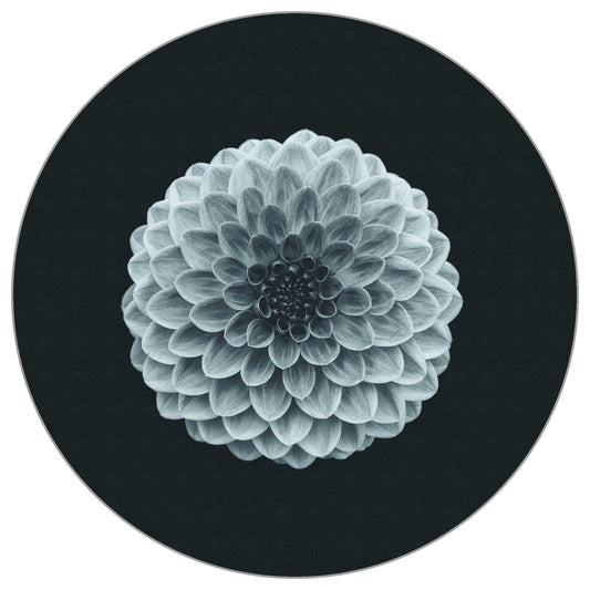 Circular Mural Symmetry