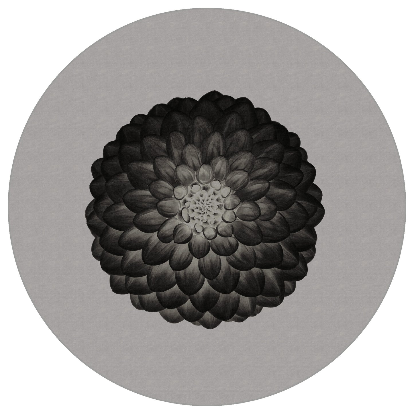 Circular Mural Symmetry In Negative