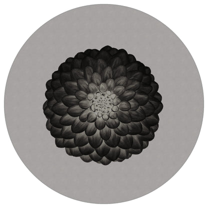 Circular Mural Symmetry In Negative