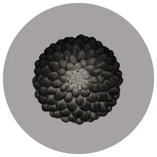 Circular Mural Symmetry In Negative