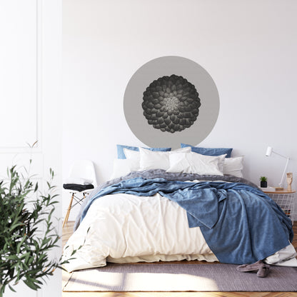 Circular Mural Symmetry In Negative