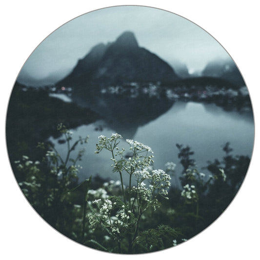 Circular Mural The Lake At The Top Of The World