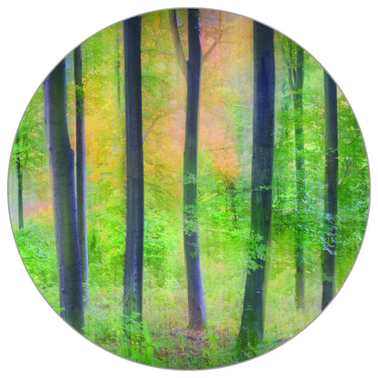 Circular Mural Dreamy By Jochen Burger