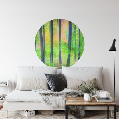 Circular Mural Dreamy By Jochen Burger