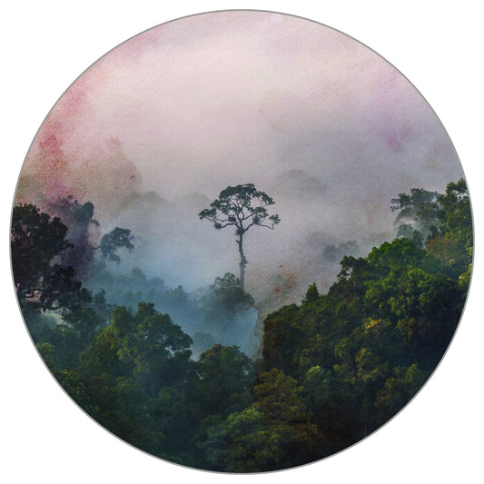 Circular Mural After The Rains