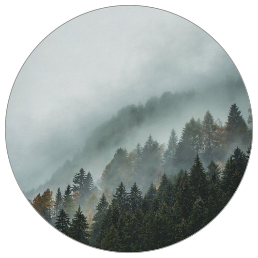 Circular Mural Rolling Mist