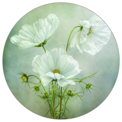 Circular Mural Cosmos Charm By Mandy Disher