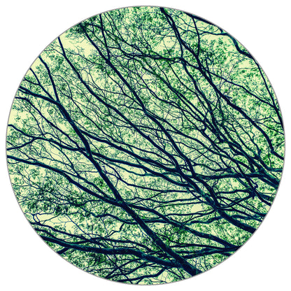 Circular Mural Canopy