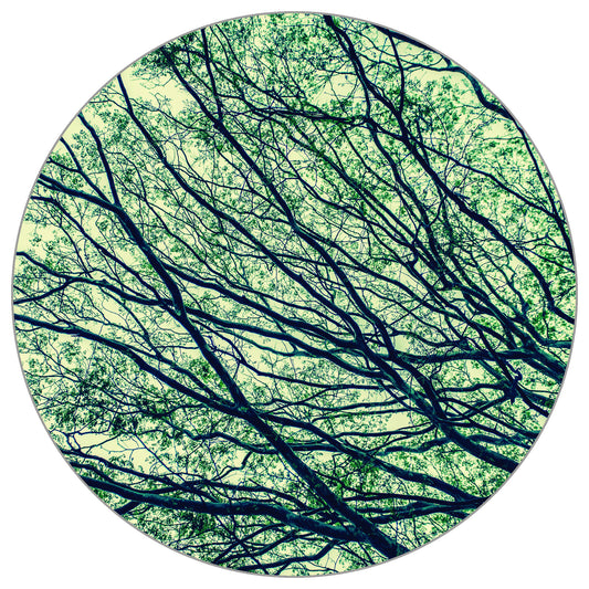 Circular Mural Canopy