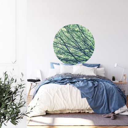 Circular Mural Canopy