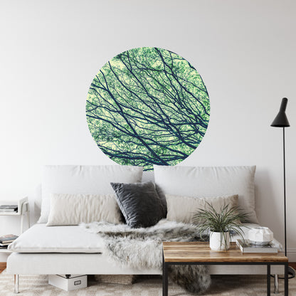 Circular Mural Canopy