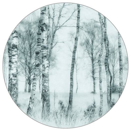 Circular Mural Black And White By Nel Talen