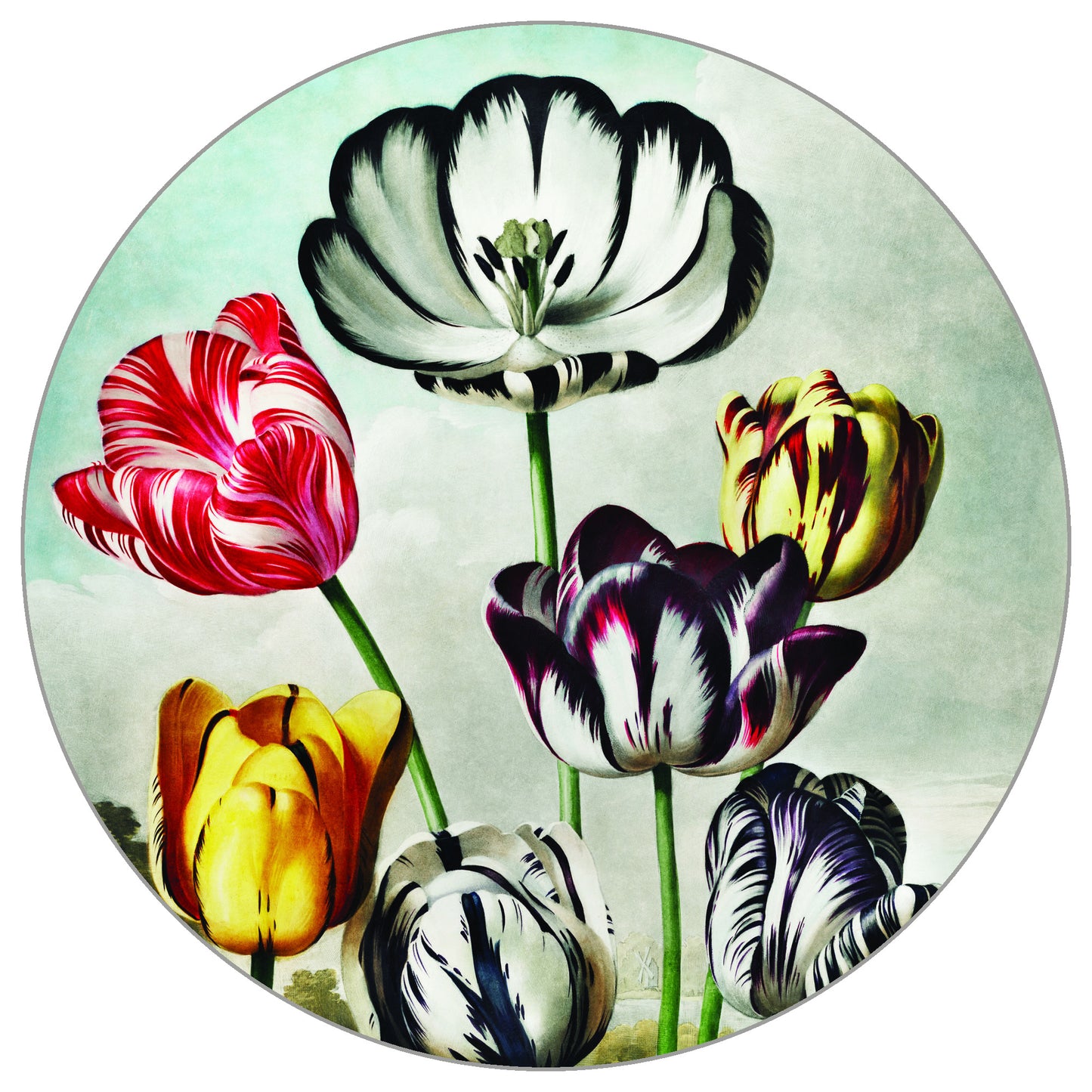 Circular Mural Tulips