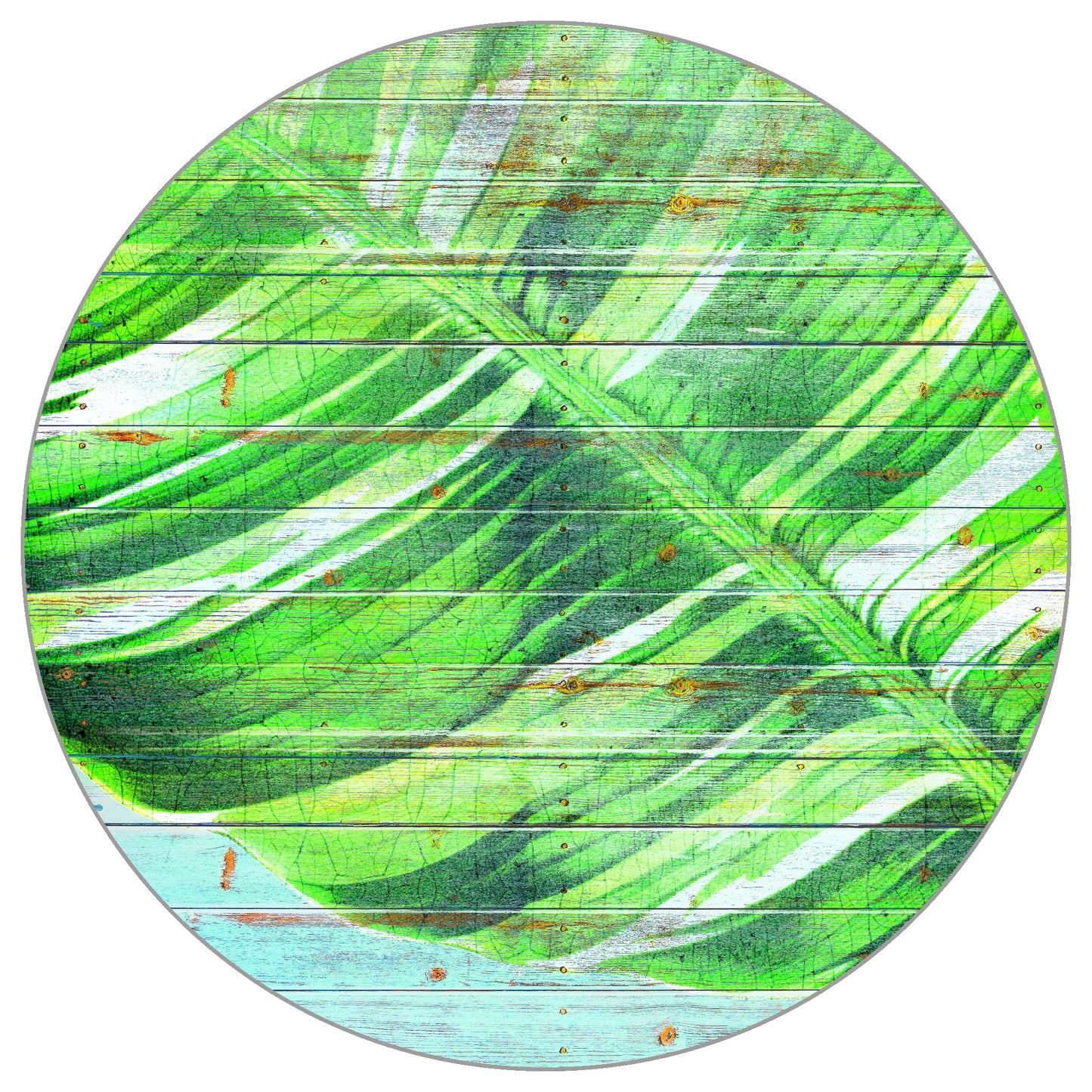Circular Mural Island Planks