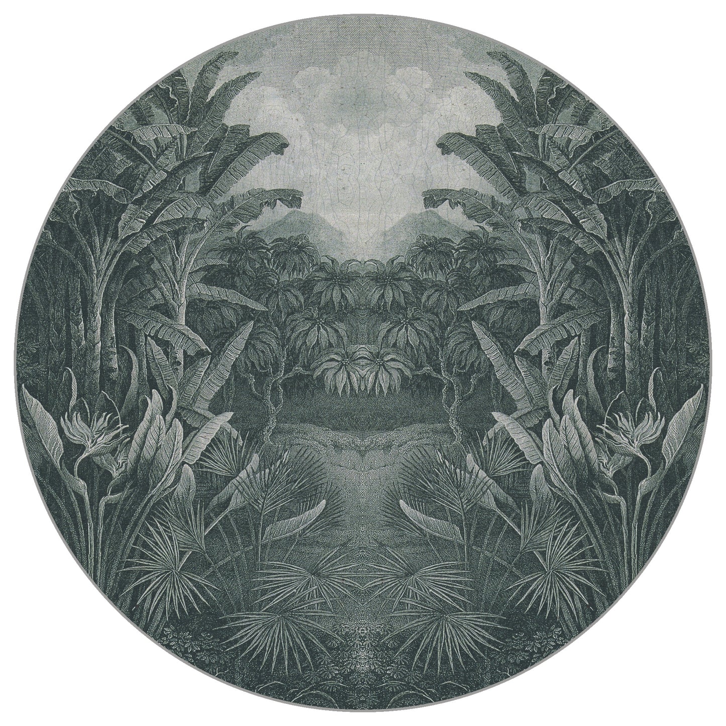 Circular Mural Jungle Noir