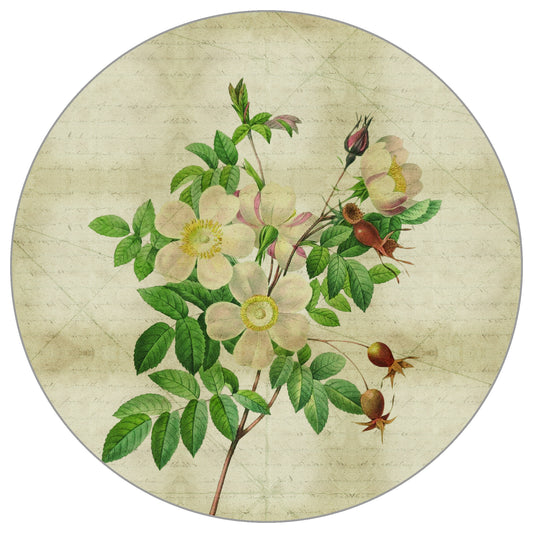 Circular Mural Vintage Botanicals Ii