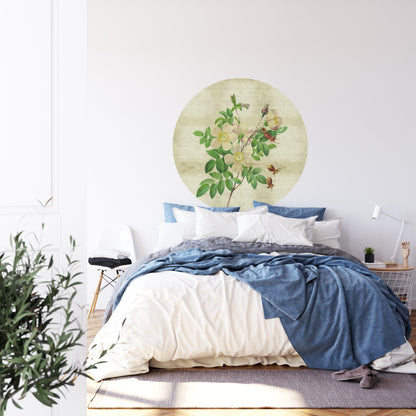 Circular Mural Vintage Botanicals Ii